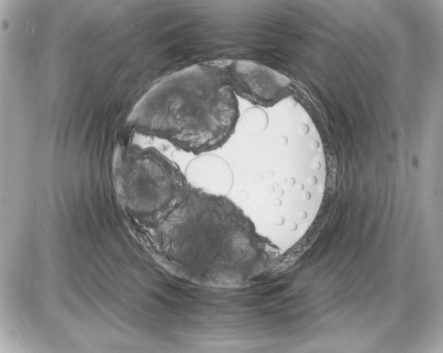 X0000085840569200704091726