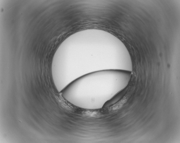 X0000085840570200704091726