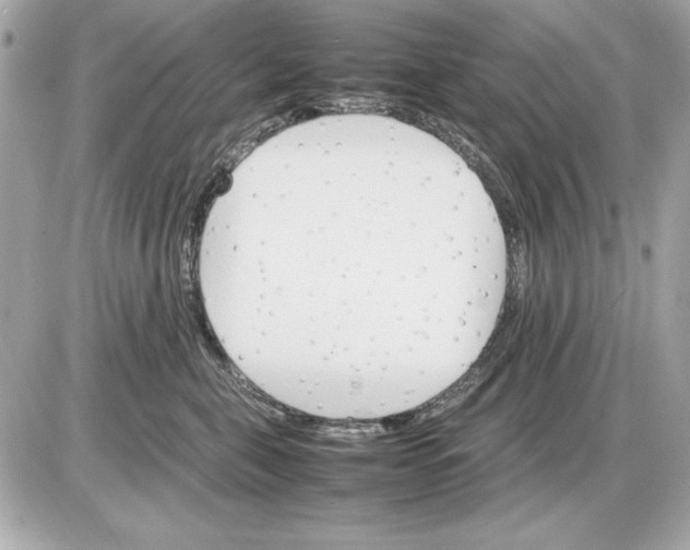 X0000085840571200704091726