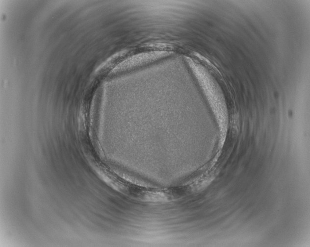 X0000085840572200704091726