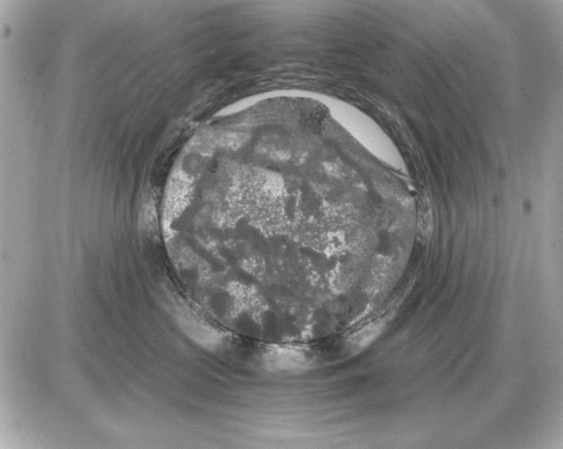 X0000085840573200704091726