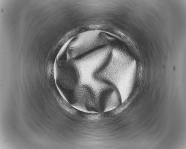 X0000085840574200704091726