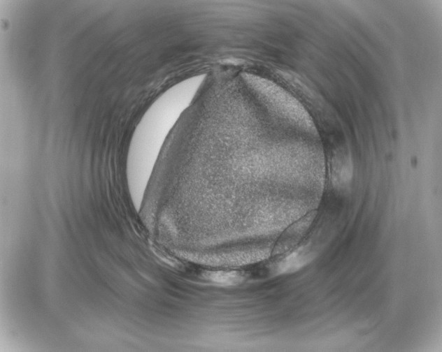 X0000085840575200704091726