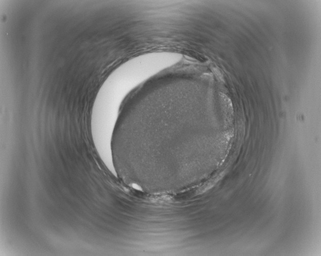 X0000085840576200704091726