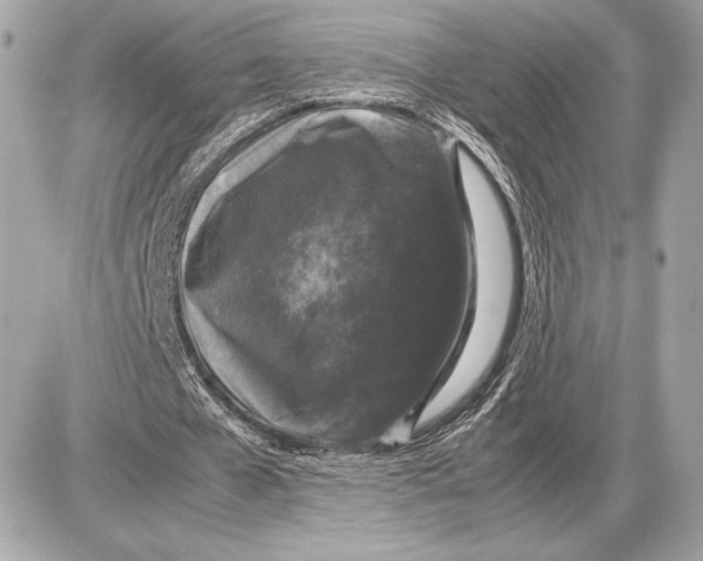 X0000085840577200704091726