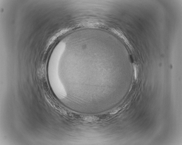 X0000085840579200704091726