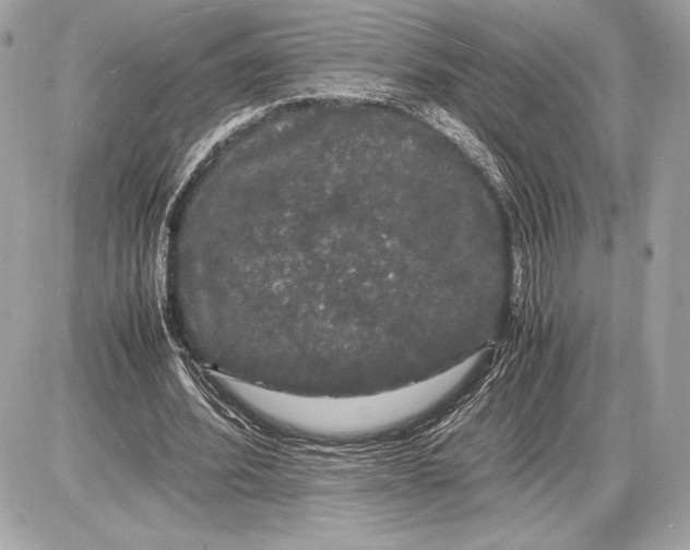 X0000085840580200704091726