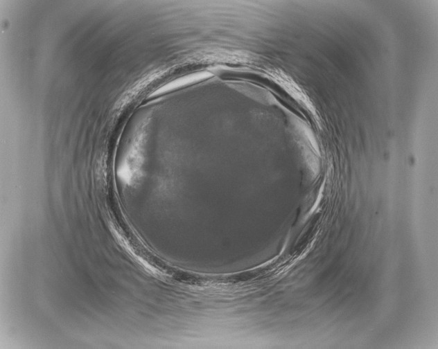 X0000085840581200704091726