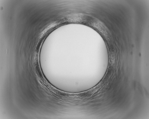 X0000085840583200704091726