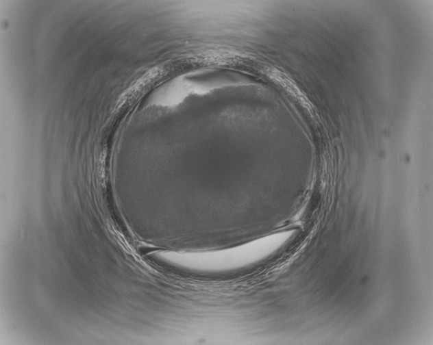 X0000085840585200704091725