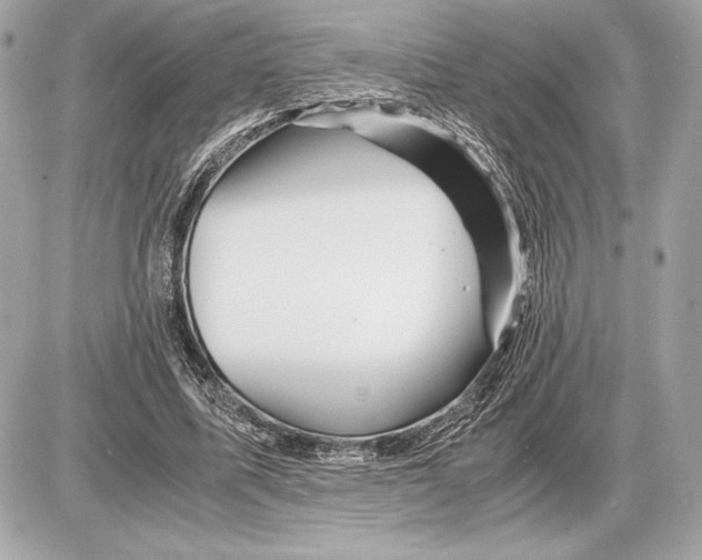 X0000085840587200704091725