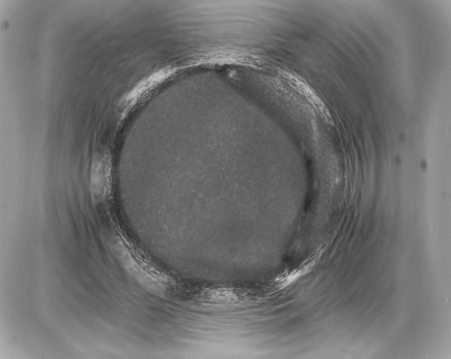 X0000085840588200704091725