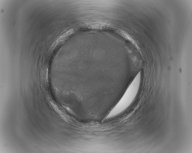 X0000085840589200704091725