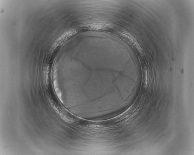 X0000085840590200704091725