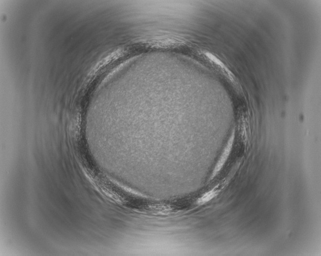 X0000085840591200704091725