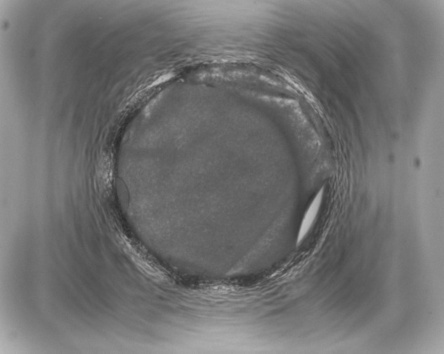 X0000085840593200704091725