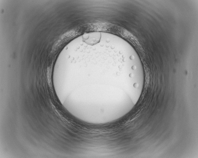 X0000085840594200704091725