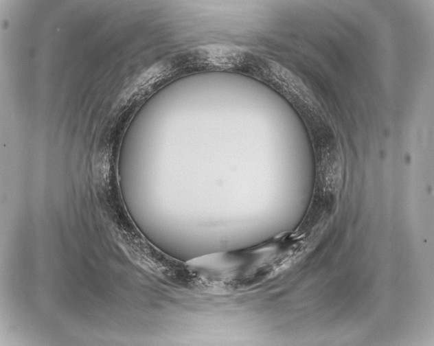 X0000085840595200704091725