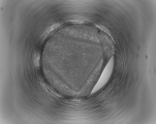 X0000085840596200704091725