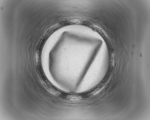 X0000085840597200704091725