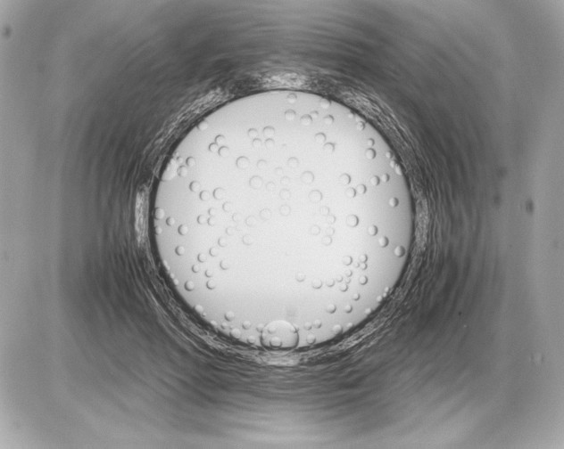 X0000085840598200704091725