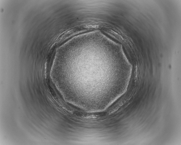 X0000085840600200704091725