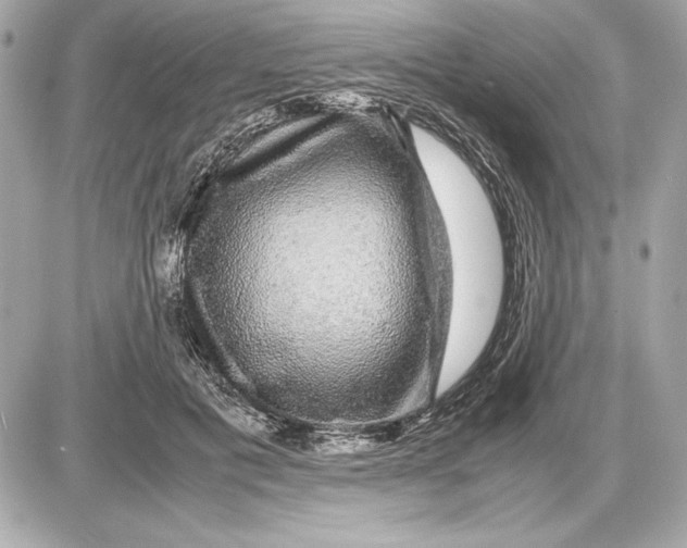 X0000085840601200704091725