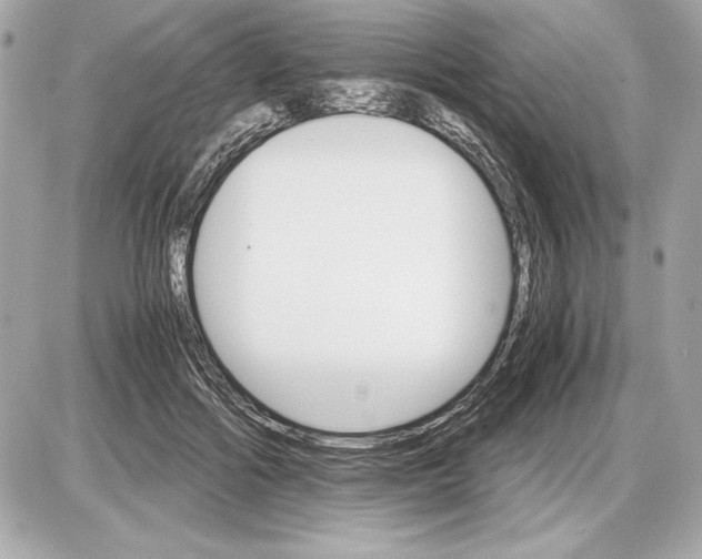 X0000085840602200704091725