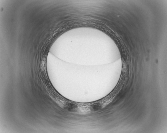 X0000085840603200704091725