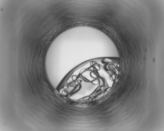 X0000085840604200704091725