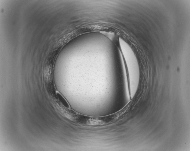 X0000085840605200704091725