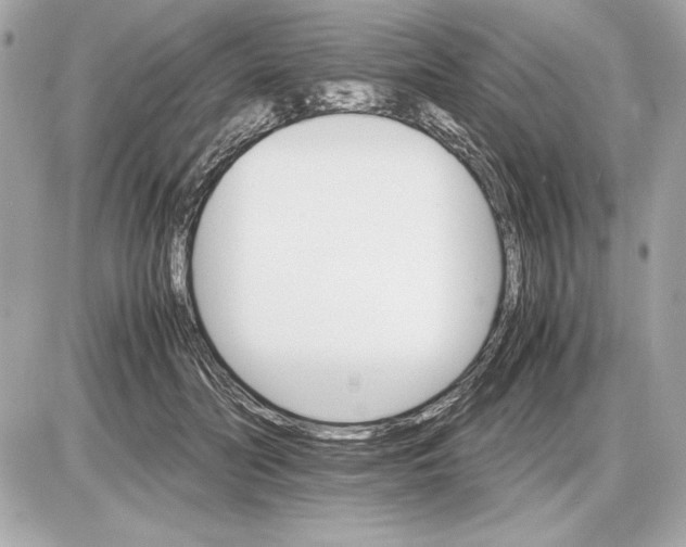 X0000085840606200704091725