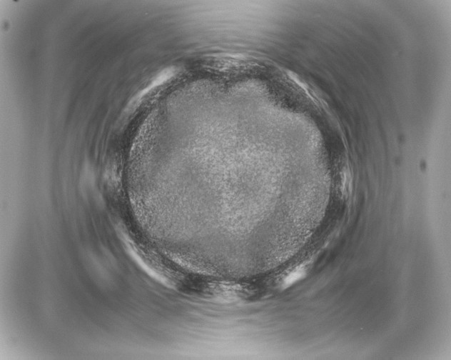 X0000085840607200704091725