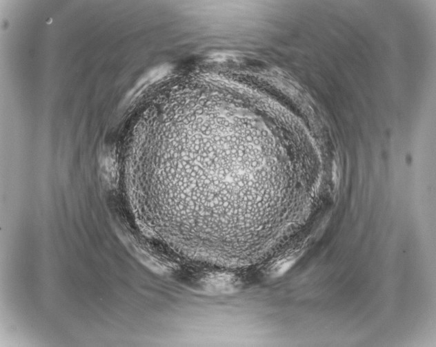 X0000085840609200704091725