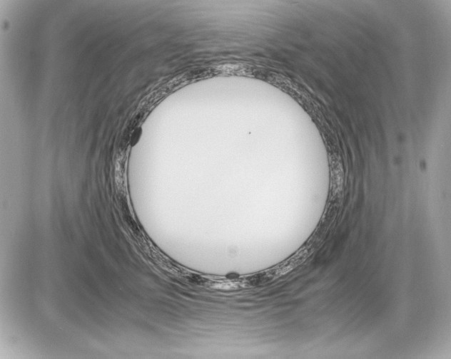 X0000085840611200704091725