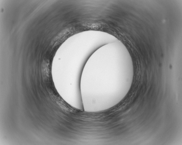 X0000085840612200704091725