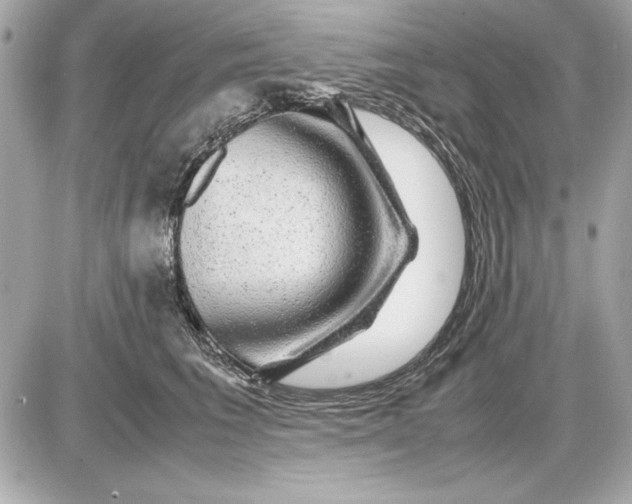 X0000085840613200704091725