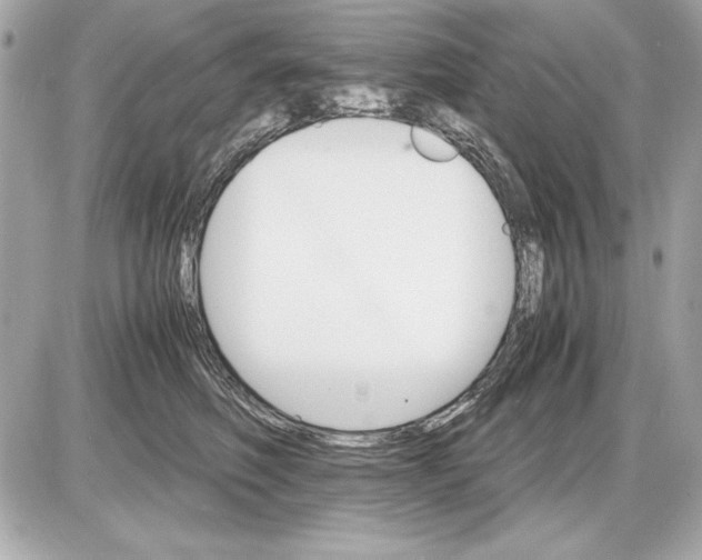 X0000085840614200704091725