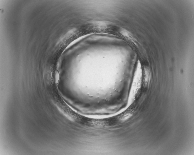 X0000085840615200704091725