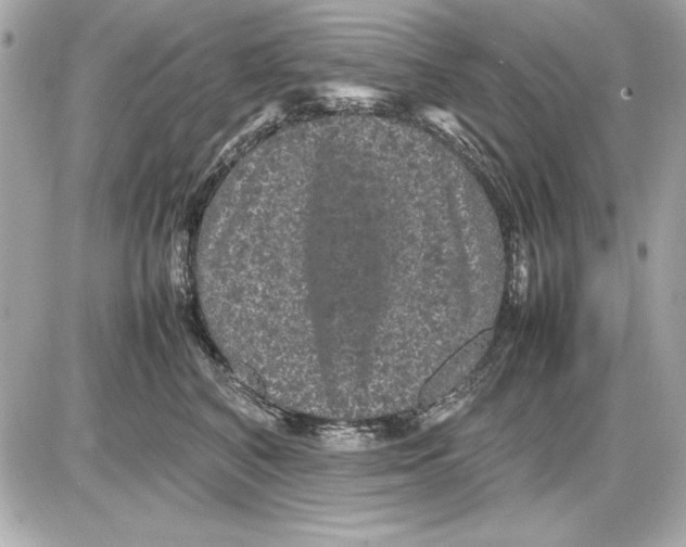 X0000085840616200704091725