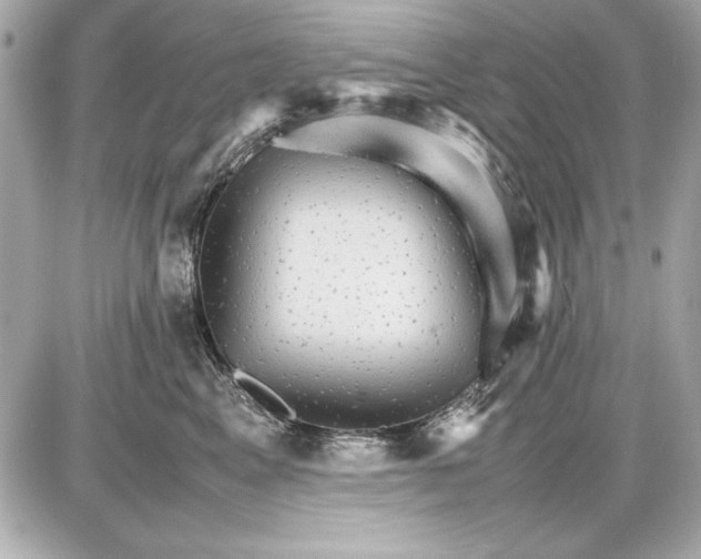 X0000085840617200704091725