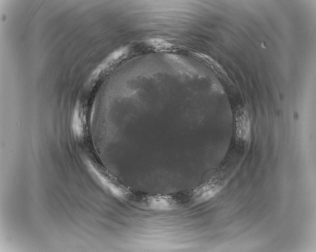 X0000085840618200704091725