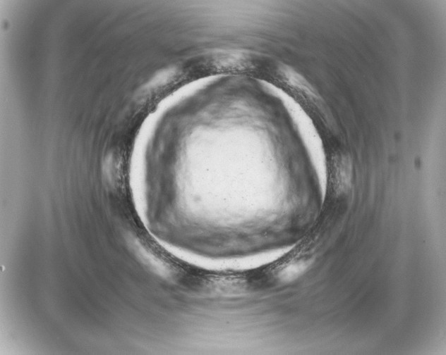 X0000085840619200704091725