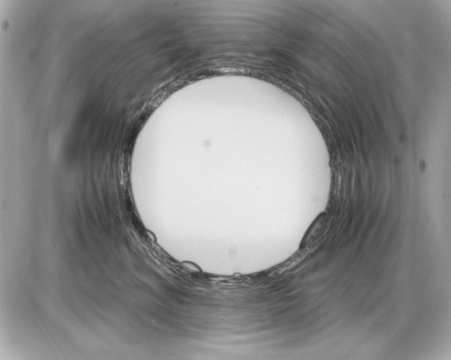 X0000085840620200704091725