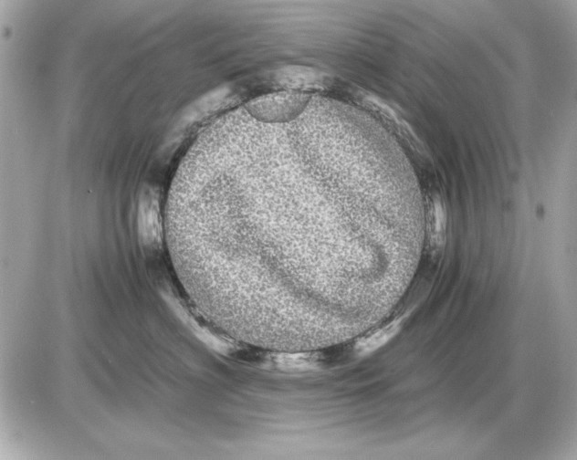 X0000085840622200704091725