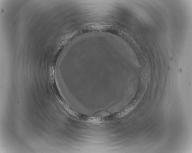 X0000085840624200704091725