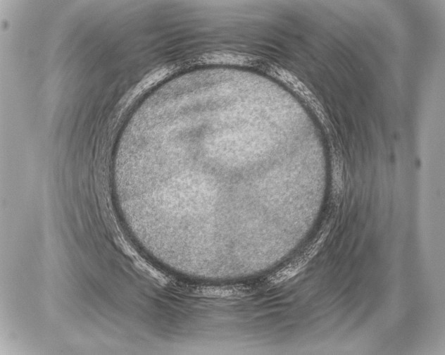 X0000085840625200704091724