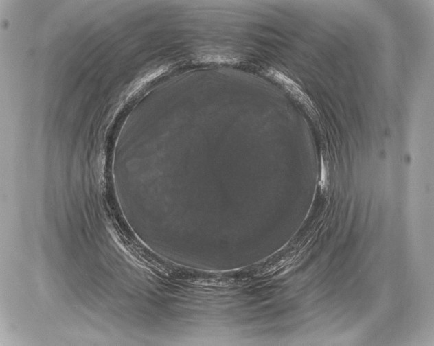 X0000085840627200704091724