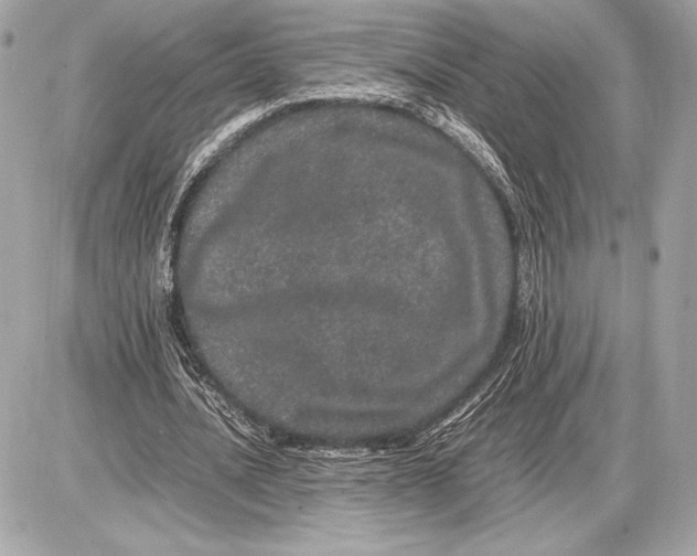 X0000085840628200704091724