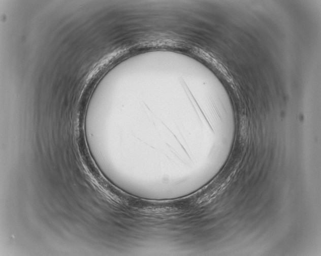 X0000085840629200704091724